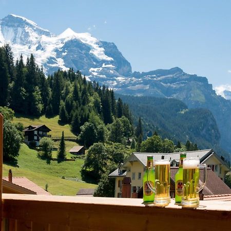 Panoramapark Soleil Chalet E Wengen Kültér fotó