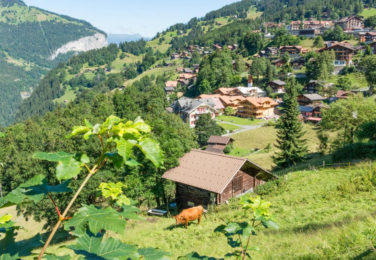 Panoramapark Soleil Chalet E Wengen Kültér fotó